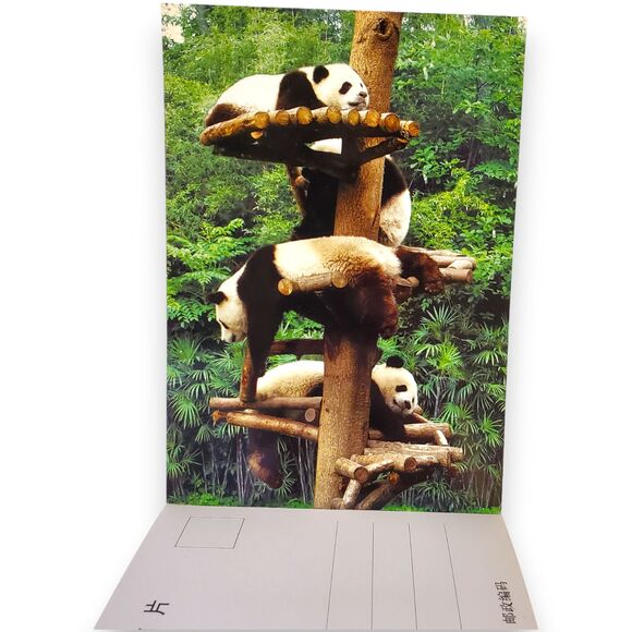 Giant Panda Postcard Book 2006 China 20 Cards Souvenir FLAWED For Crafts - Picture 7 of 11